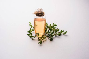 Brahmi Ayurvedic saç yağı ve taze Bramhi yaprakları.