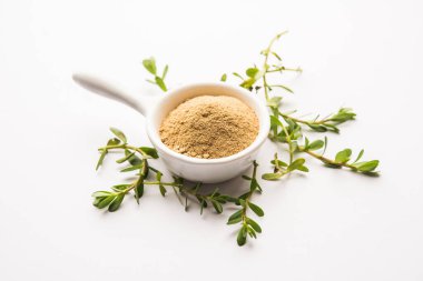 Bacopa monnieri bitkisi ya da Ayurvedic Brahmi bitkisi bir kasede toz, seçici odaklanma
