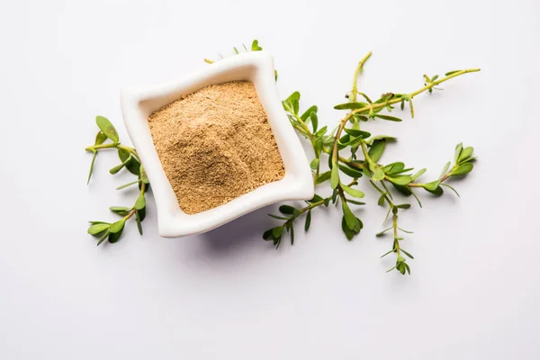 Bacopa Monnieri Planta Hierbas Planta Ayurvédica Brahmi Con Polvo Tazón — Foto de Stock