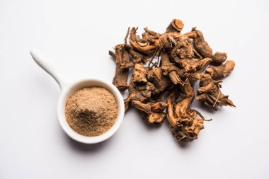 Ayurvedic Chitrak veya Sheetraj kökleri Plumbago zeylanica olarak da bilinir.