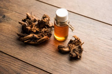 Şişedeki Ayurvedic Chitrak esaslı yağı. Plumbago zeylanica özütü..