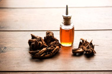 Şişedeki Ayurvedic Chitrak esaslı yağı. Plumbago zeylanica özütü..