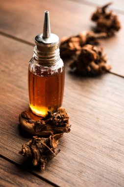 Şişedeki Ayurvedic Chitrak esaslı yağı. Plumbago zeylanica özütü..