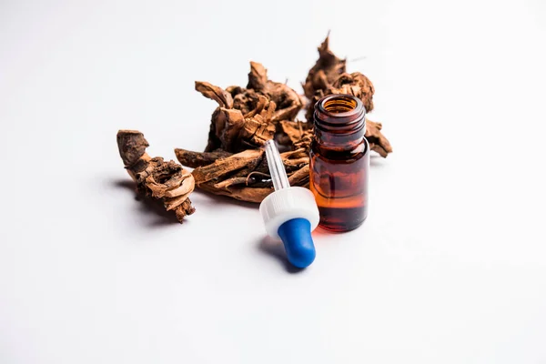 Olio Essenziale Ayurvedico Chitrak Bottiglia Estratto Plumbago Zeylanica — Foto Stock