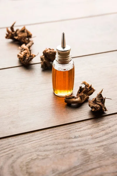 Olio Essenziale Ayurvedico Chitrak Bottiglia Estratto Plumbago Zeylanica — Foto Stock