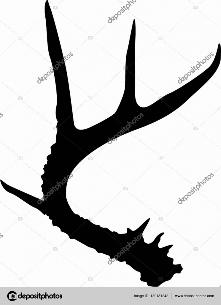 Whitetail Deer Antler Silhouette Pack Vector Download
