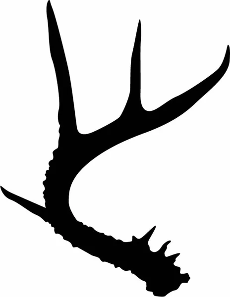 Black White Vector Deer Antlers — Stock Vector