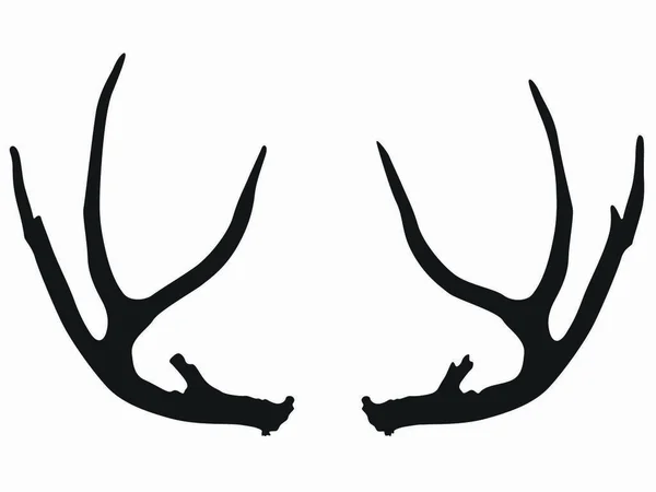Black White Vector Deer Antlers — Stock Vector