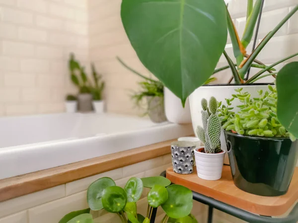 Bright bathroom with subway tiles and a large variety of green potted plants creating a green oasis — Stock Photo, Image