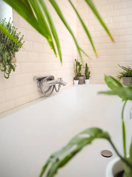 Salle de bain lumineuse avec carreaux de métro et une grande variété de p vert — Photo