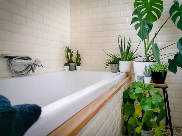 Salle de bain lumineuse avec carreaux de métro et une grande variété de plantes vertes en pot créant une oasis verte — Photo