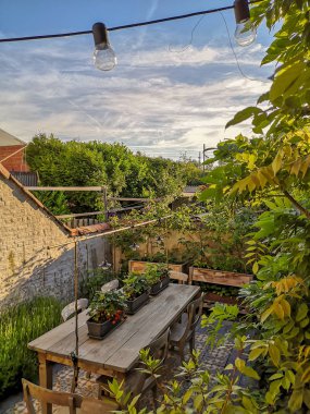 Yaz mevsiminde gün doğumunda sayısız bitkiyle dolu yemyeşil bir bahçe.