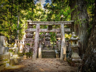 Japonya 'nın Wakayama bölgesindeki Koyasan Dağı' ndaki Okunoin mezarlığında yaşlanmış mezarlar, bir Unesco dünya mirası alanı.
