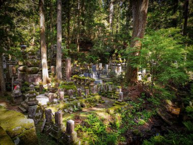 Japonya 'nın Wakayama bölgesindeki Koyasan Dağı' ndaki Okunoin mezarlığında yaşlanmış mezarlar, bir Unesco dünya mirası alanı.