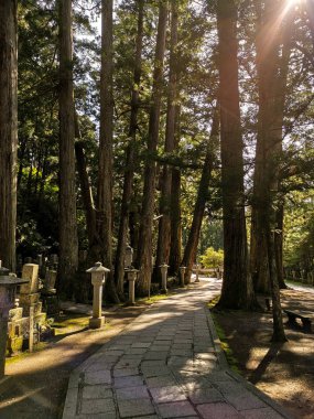 Koyasan 'daki Okunion mezarlığında (Wakayama - Japonya) iki kilometre uzunluğunda yol, 300 bin mezar taşıyla çevrili.