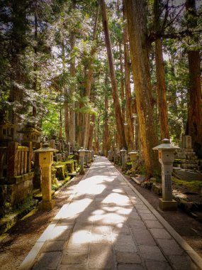 Koyasan 'daki Okunion mezarlığında (Wakayama - Japonya) iki kilometre uzunluğunda yol, 300 bin mezar taşıyla çevrili.