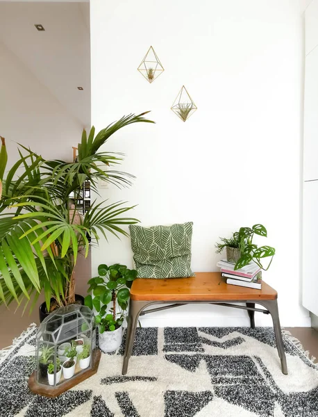 Small entrance hallway in Scandinavian design with lots of natural light and numerous green plants