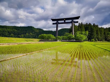 The world's largest torii gate at the entrance of the sacred site of the Kumano Hongu Taisha on the Kumano Kodo pilgrimage trail in Wakayama, Japan