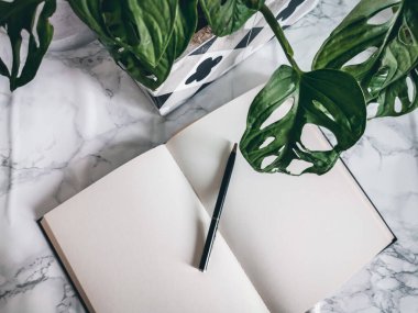 Ofis masasında boş bir defter beyaz arka planda maymun maskesi gibi bitkiler var.