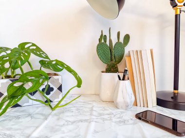 Beyaz arka planda kaktüs ve kırtasiye gibi ev içi bitkilerle dolu ofis masası rahatlatıcı bir çalışma ortamı yaratıyor.