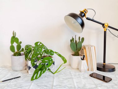 Beyaz arka planda kaktüs ve kırtasiye gibi ev içi bitkilerle dolu ofis masası rahatlatıcı bir çalışma ortamı yaratıyor.
