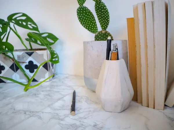Meja Kantor Rumah Dengan Tanaman Indoor Seperti Kaktus Dan Alat — Stok Foto