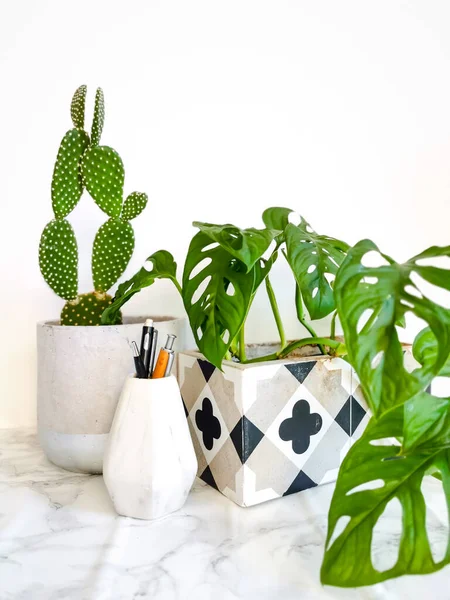 Mesa Trabalho Branca Limpa Com Artigos Papelaria Várias Plantas Verdes — Fotografia de Stock