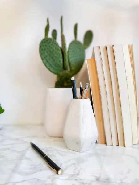 Meja Kantor Rumah Dengan Tanaman Indoor Seperti Kaktus Dan Alat — Stok Foto