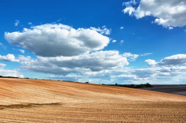 Kırsal alan - üzerinde mavi gökyüzü ve bulutlar olan tarlalar ve ormanlar.
