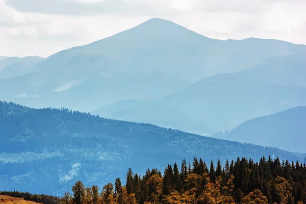 Mountains Forests — Stock Photo, Image