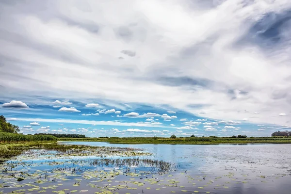 Día Soleado Sobre Orilla Del Río Caña Árboles Cielo Azul — Foto de Stock