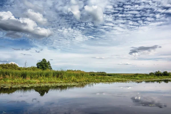 Día Soleado Sobre Orilla Del Río Caña Árboles Cielo Azul — Foto de Stock