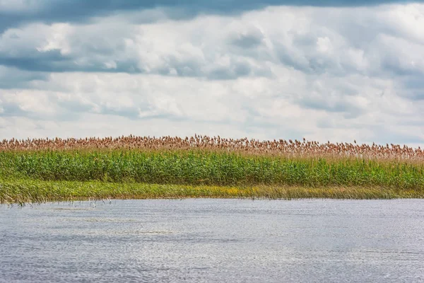 Storm Clouds River Bank Reeds — Stock Photo, Image