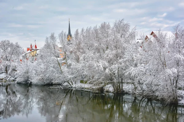 Pejzaż Zimowy Ośnieżonych Drzew Budynków Nad Brzegiem Rzeki — Zdjęcie stockowe