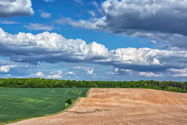 Paesaggio Rurale Campo Arato Prati Bosco Con Cielo Blu Nuvole — Foto Stock