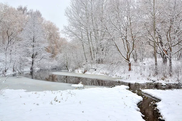 Trees Snow River Bank — Stock Photo, Image