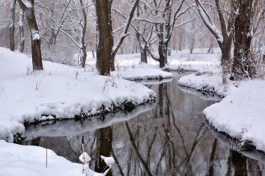 Kışın kıyısında ağaçlar olan küçük bir nehir..