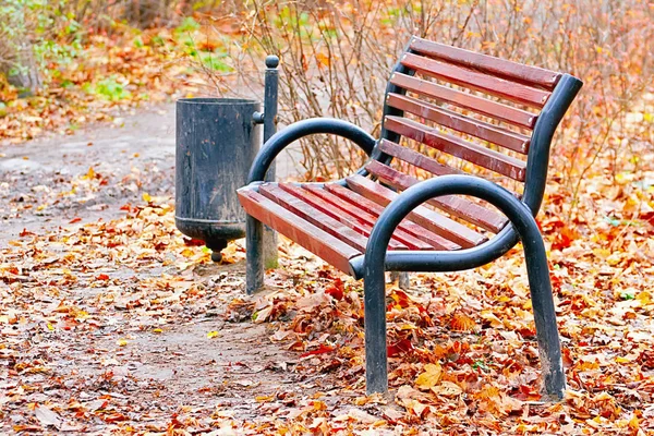 Bench Fallen Leaves — Stock Photo, Image