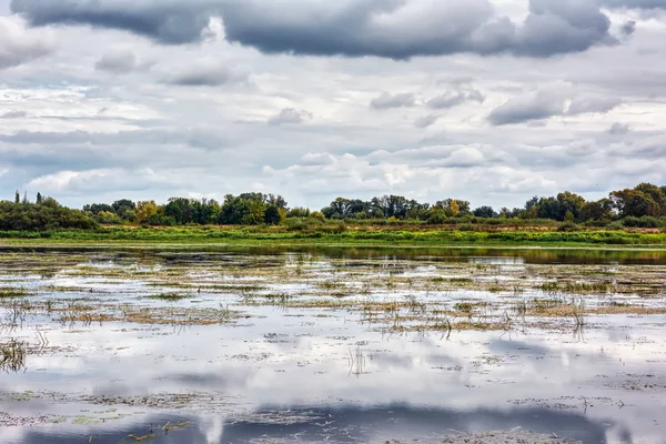 Cloudy Day River Shoreline — Stock Photo, Image