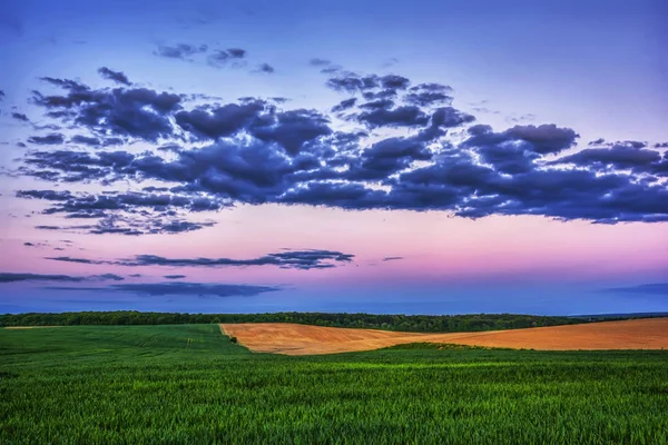 Evening Rural Landscape Twilight Meadows Plowed Fields Forest — Stock Photo, Image