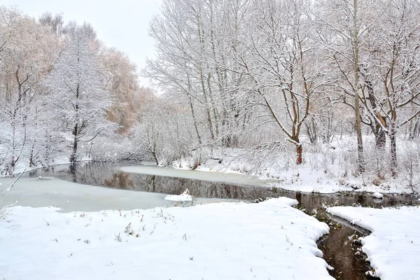 Paisaje Invernal Los Árboles Nieve Orilla Del Río — Foto de Stock