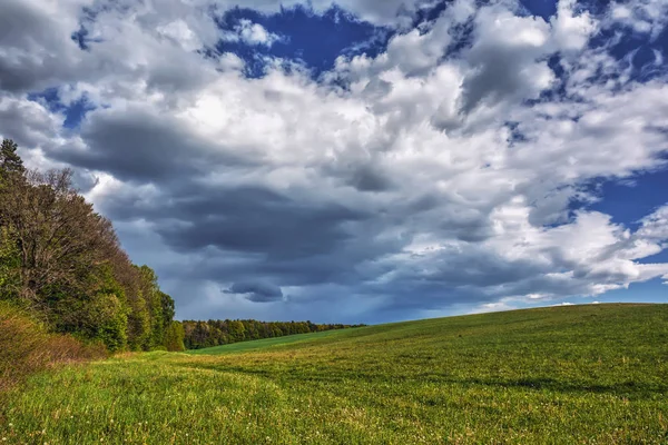 Paisagem Noturna Céu Com Nuvens Sobre Prados Floresta — Fotografia de Stock