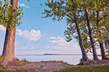 Sabah manzarası - ön planda ağaçlar, ve arka planda göl.