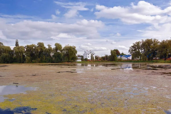 Sommarlandskap Damm Och Blå Himmel Med Moln — Stockfoto