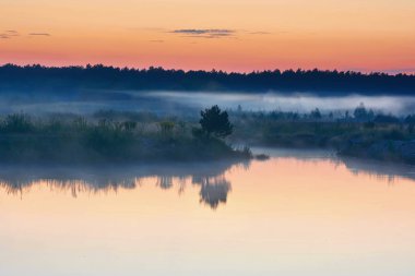 Manzara - alacakaranlık Gölü, arka plan ve sis deniz kenarı Ormanda.