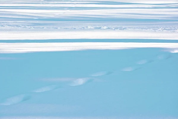 Sfondo Neve Ombre Esso — Foto Stock