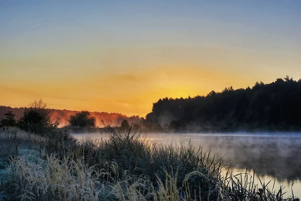 Sonnenaufgang Über Dem See Dichter Nebel Baumsilhouetten Den Strahlen Der — Stockfoto