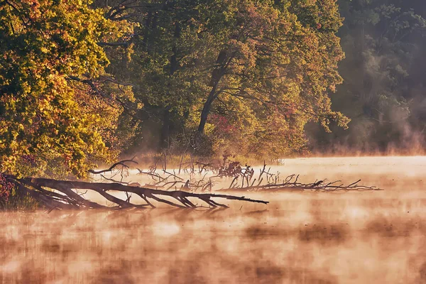 Paysage Dans Les Rayons Lever Soleil Matin Sur Lac Brouillard — Photo