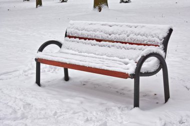 karla kaplı park Bench.