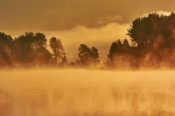 Dawn Lake Thick Fog Silhouettes Trees Rays Rising Sun — Stock Photo, Image